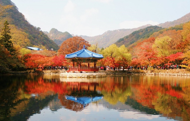 Lý do khiến du khách chọn Hàn Quốc là điểm đến vào mùa thu
