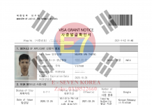 Lý do nên chọn visa E7 Hàn Quốc
