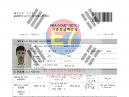 Lý do nên chọn visa E7 Hàn Quốc