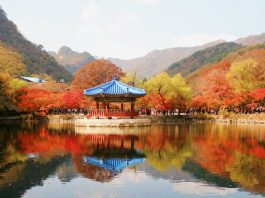 Lý do khiến du khách chọn Hàn Quốc là điểm đến vào mùa thu